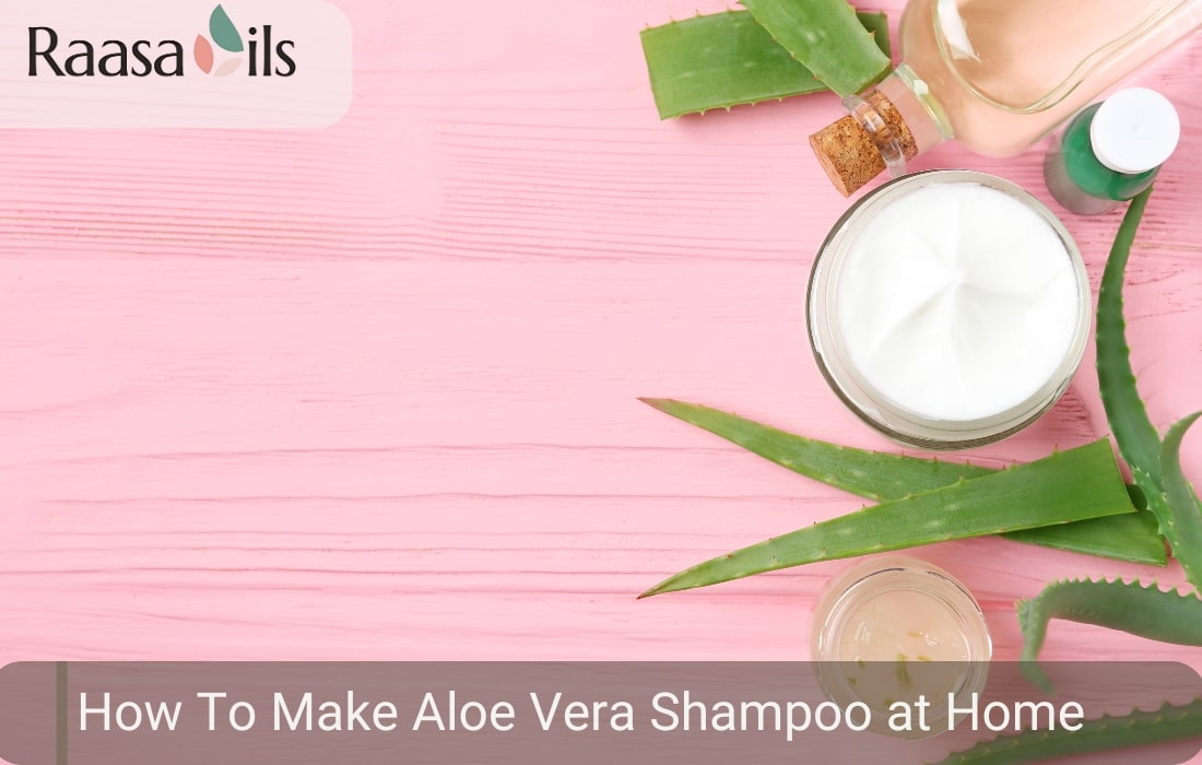 Homemade Aloe Vera Shampoo: Step-by-Step DIY Guide  Raasa Oils India