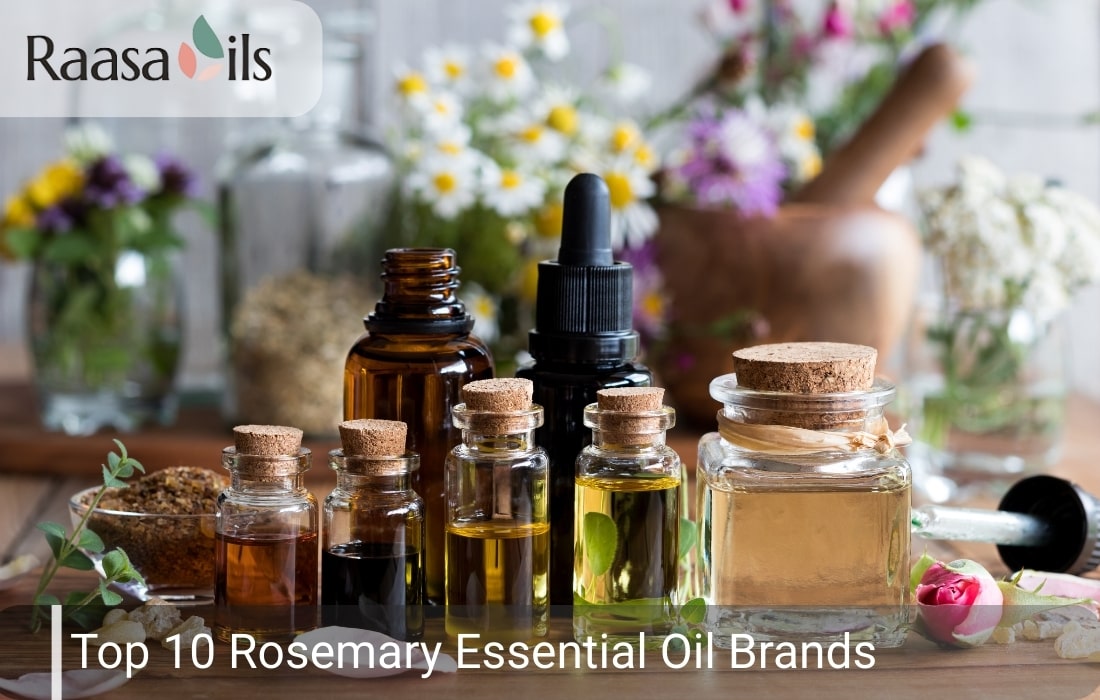 Top 10 Rosemary Essential Oil Brands In India