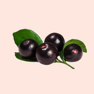 Four dark berries with green leaves on a beige background