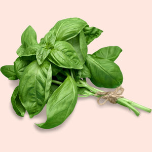 Basil