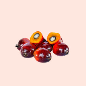 Close-up of palm oil fruits on a light pink background