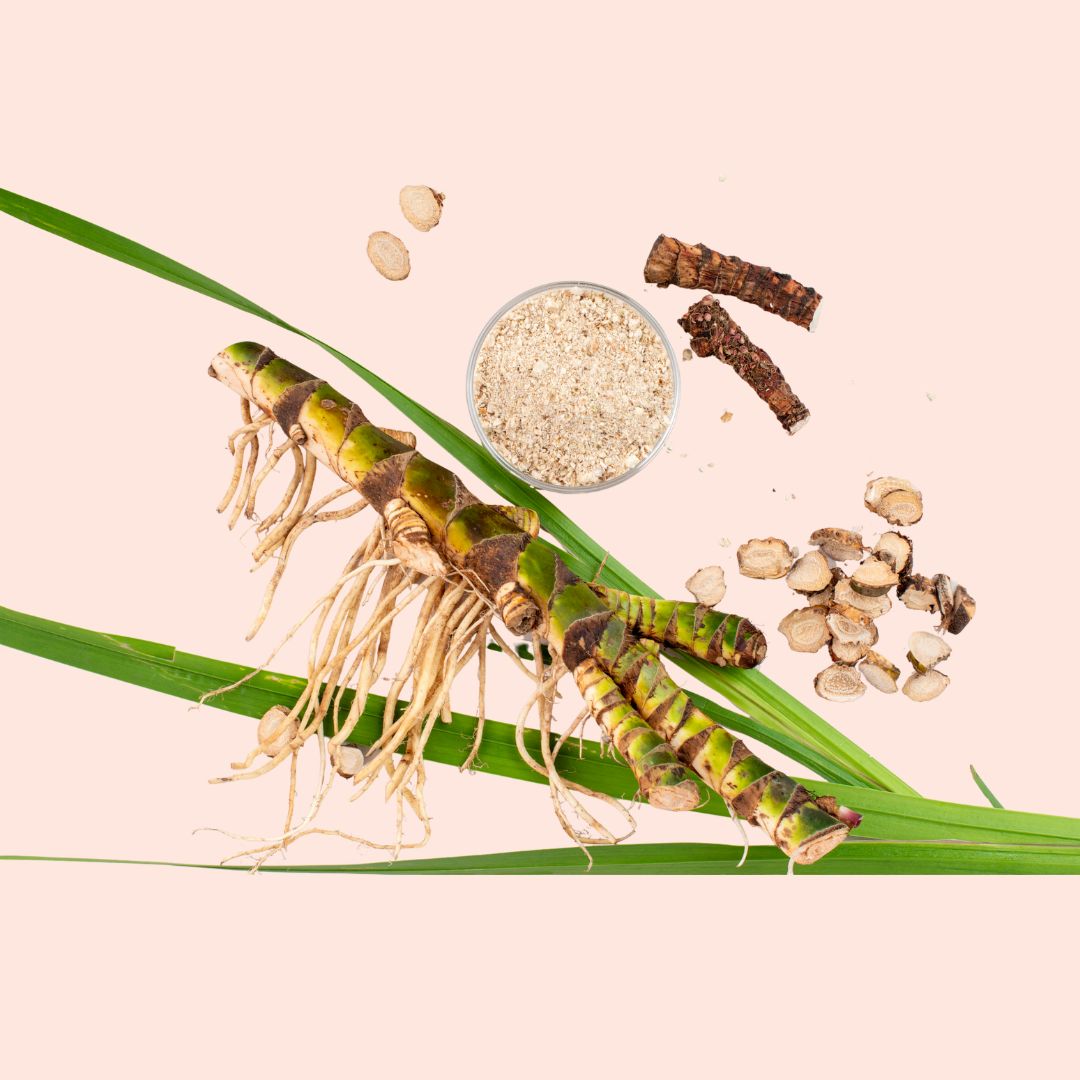 Calamus