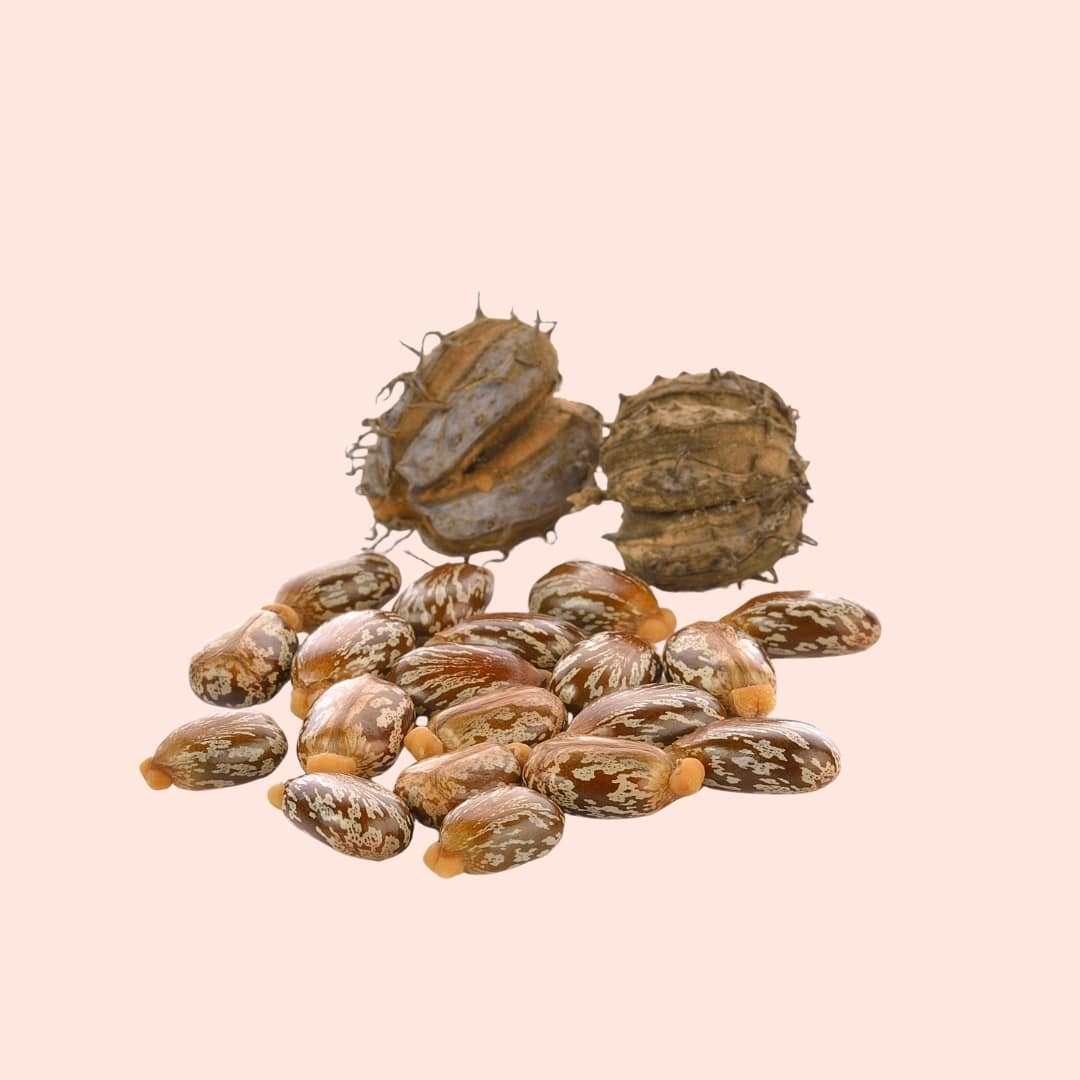 Dried fruits or seeds on a beige background