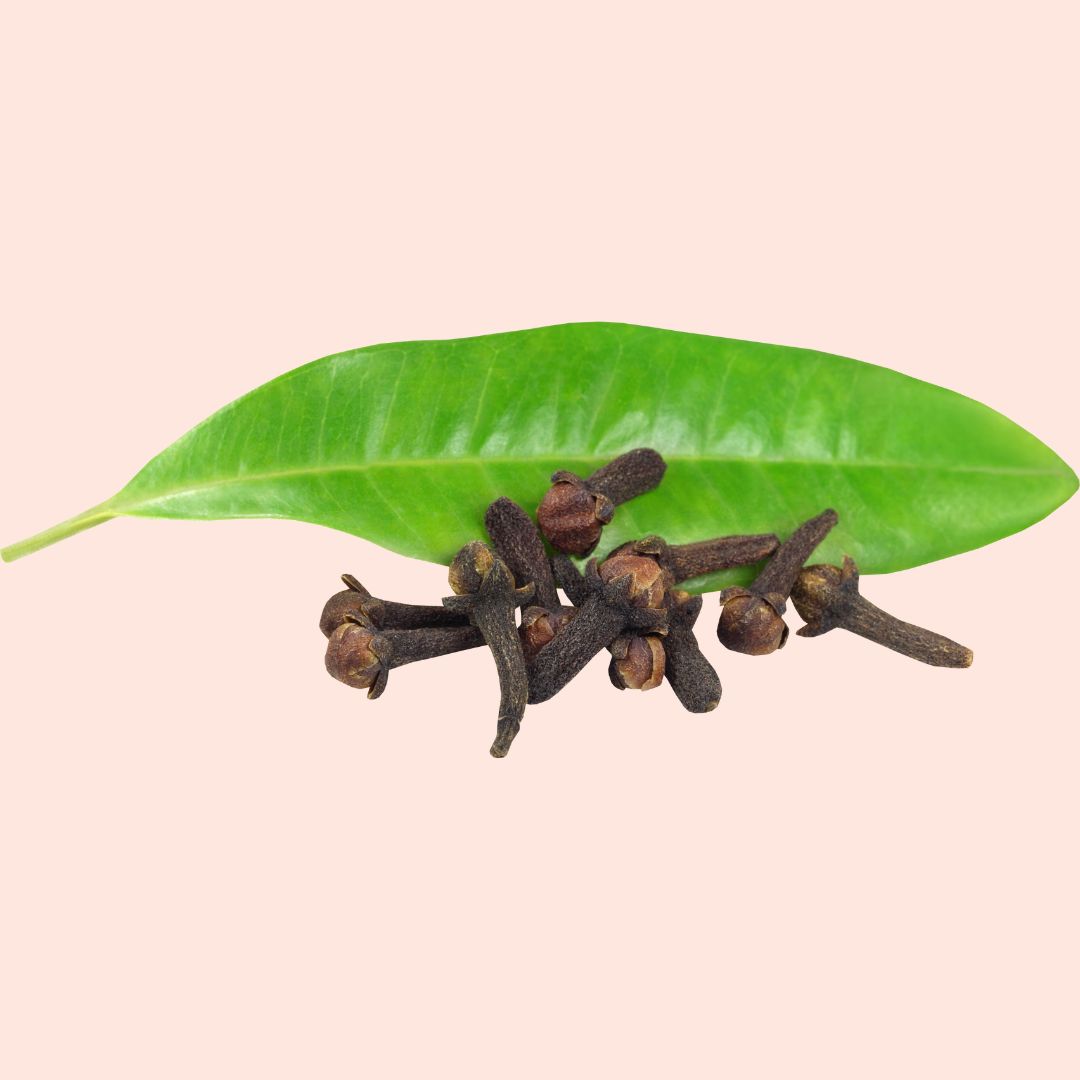 Cloves with a green leaf on a beige background