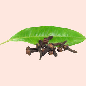 Cloves with a green leaf on a beige background