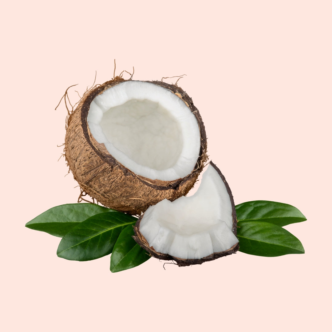Coconut