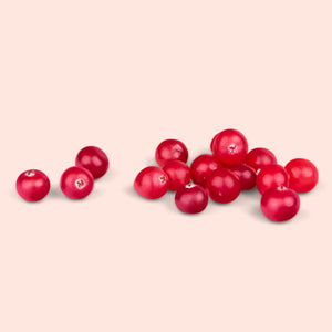 Red berries on a beige background