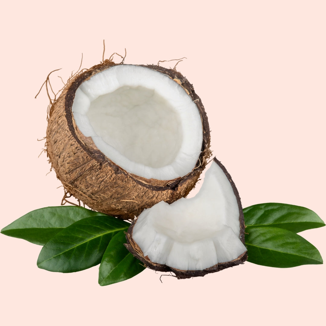 Fractionated Coconut