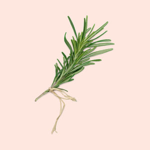 Fresh Rosemary Leaves