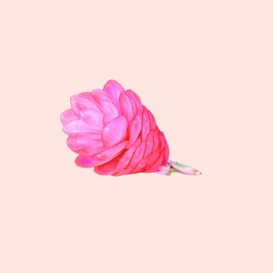 Pink flower-shaped object on a pink background