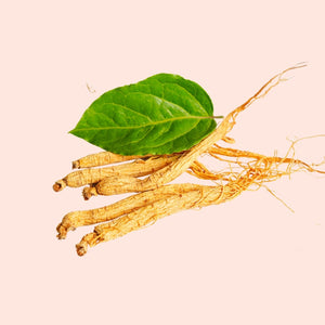 Ginseng