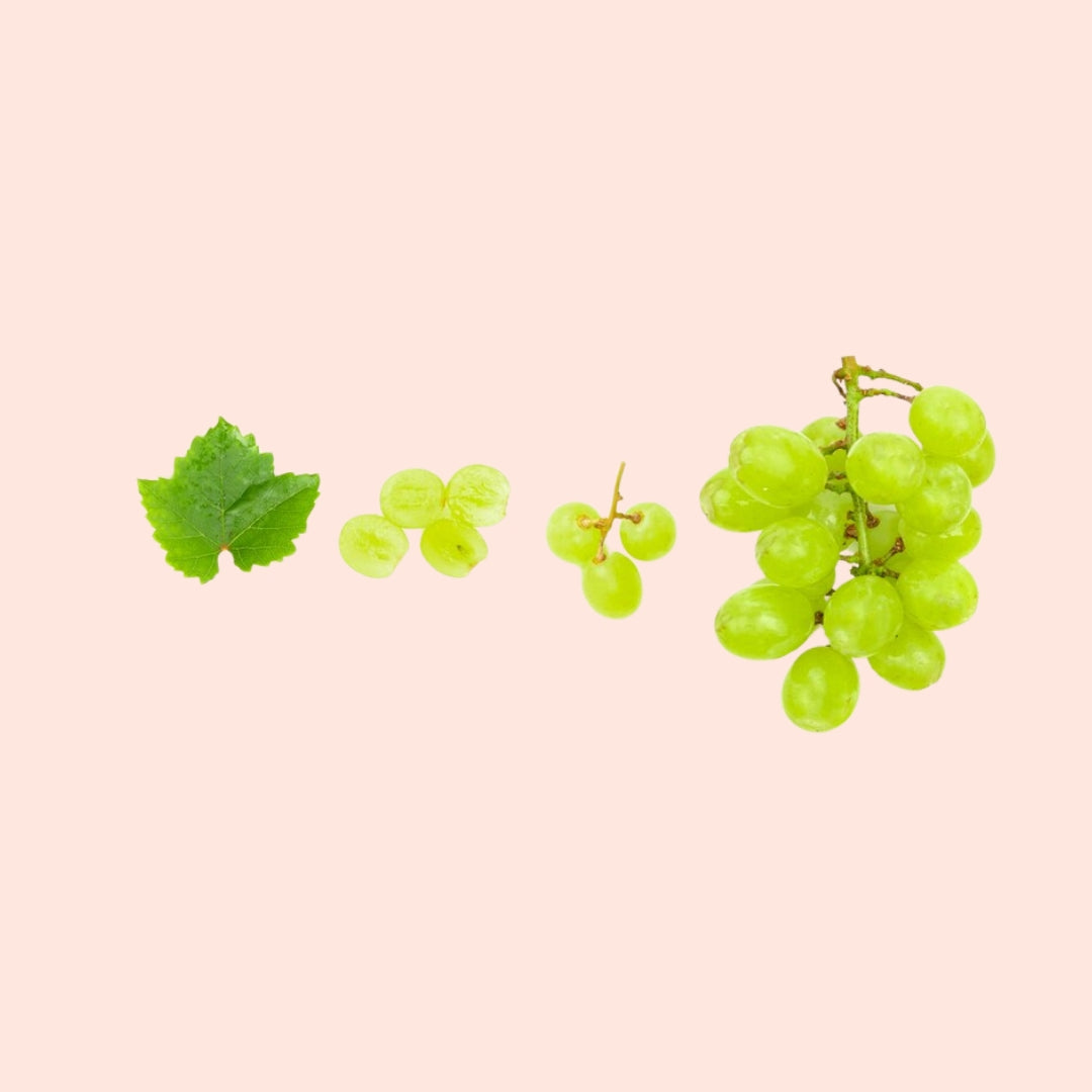 Grapeseed