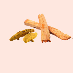 Two pieces of tamarind pods and two sticks on a pink background