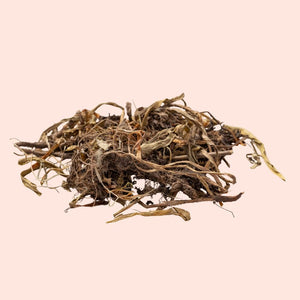 Dried herbs or plants on a beige background