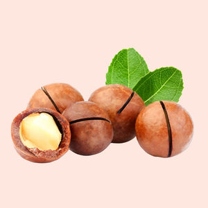Macadamia nuts with a green leaf on a beige background