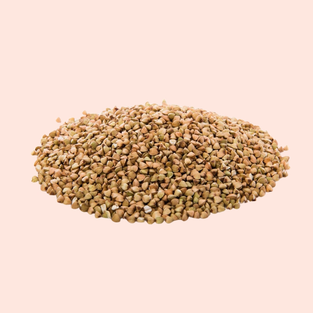 Malkangni Seed