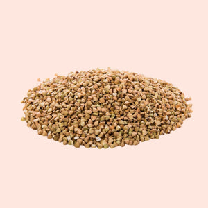 Malkangni Seed