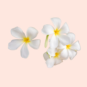 White flowers with yellow centers on a light pink background