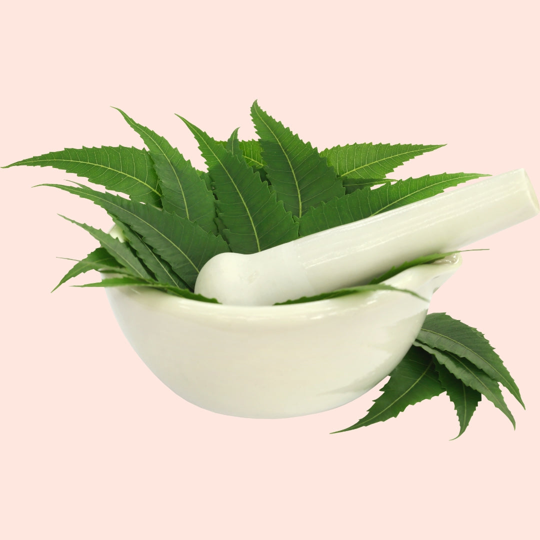 Neem