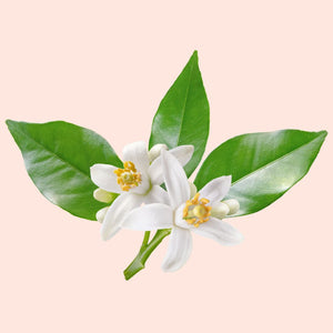 Neroli