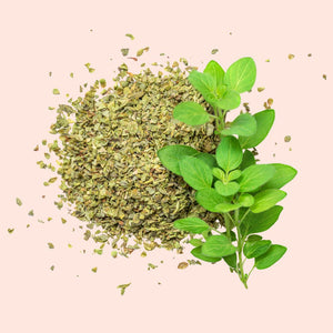 Oregano