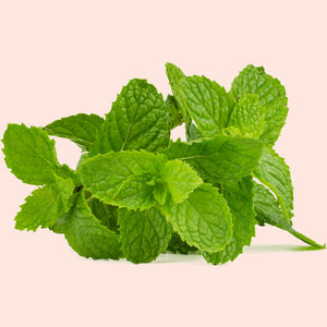 Peppermint Leaves