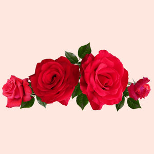 A image of a rose essential oil bottle with a background of red roses, symbolizing the product's natural and luxurious qualities.