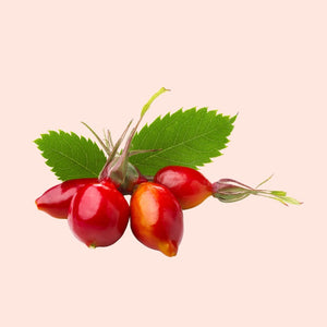 Red berries with green leaves on a light pink background