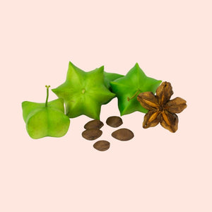 Star-shaped green fruits and brown seeds on a beige background