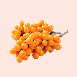 SeaBuckthorn