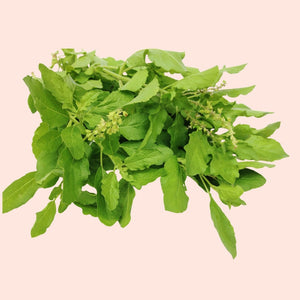 Tulsi