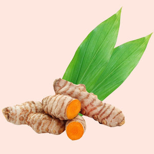 Turmeric roots with green leaves on a light pink background