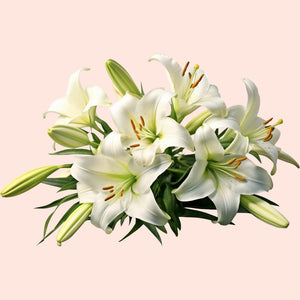 A bunch of white lily flowers with green foliage.
