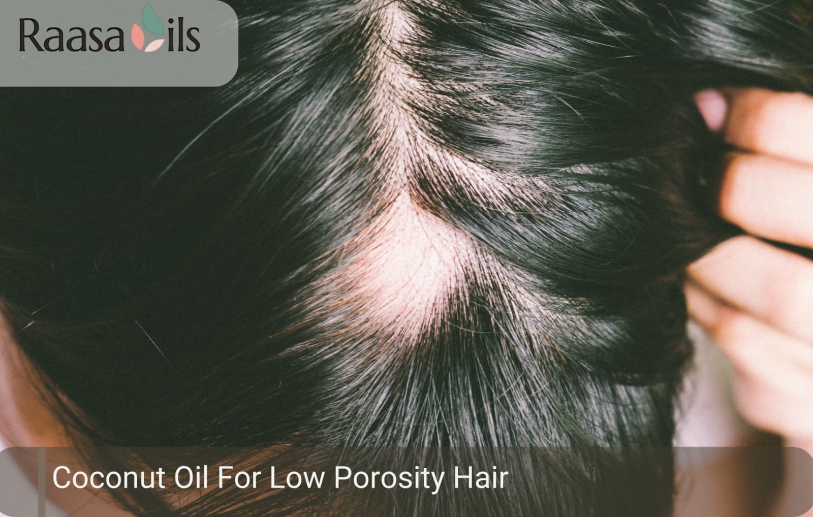 Coconut Oil For Low Porosity Hair: Hair Care Guide