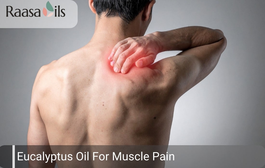 Eucalyptus Oil for Muscle Pain