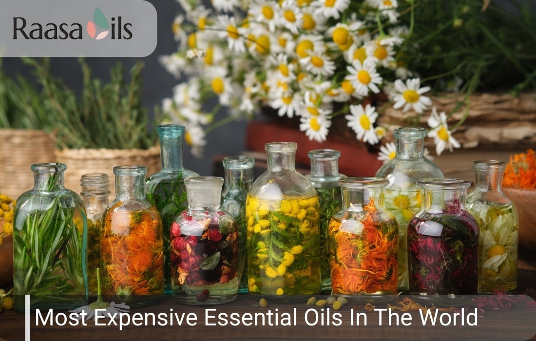 10 Most Expensive Essential Oils in the World