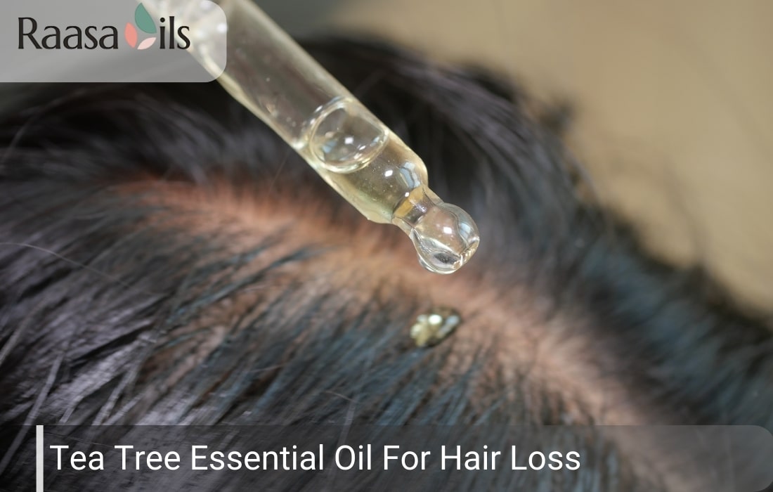 Tea Tree Essential Oil for Hair Loss