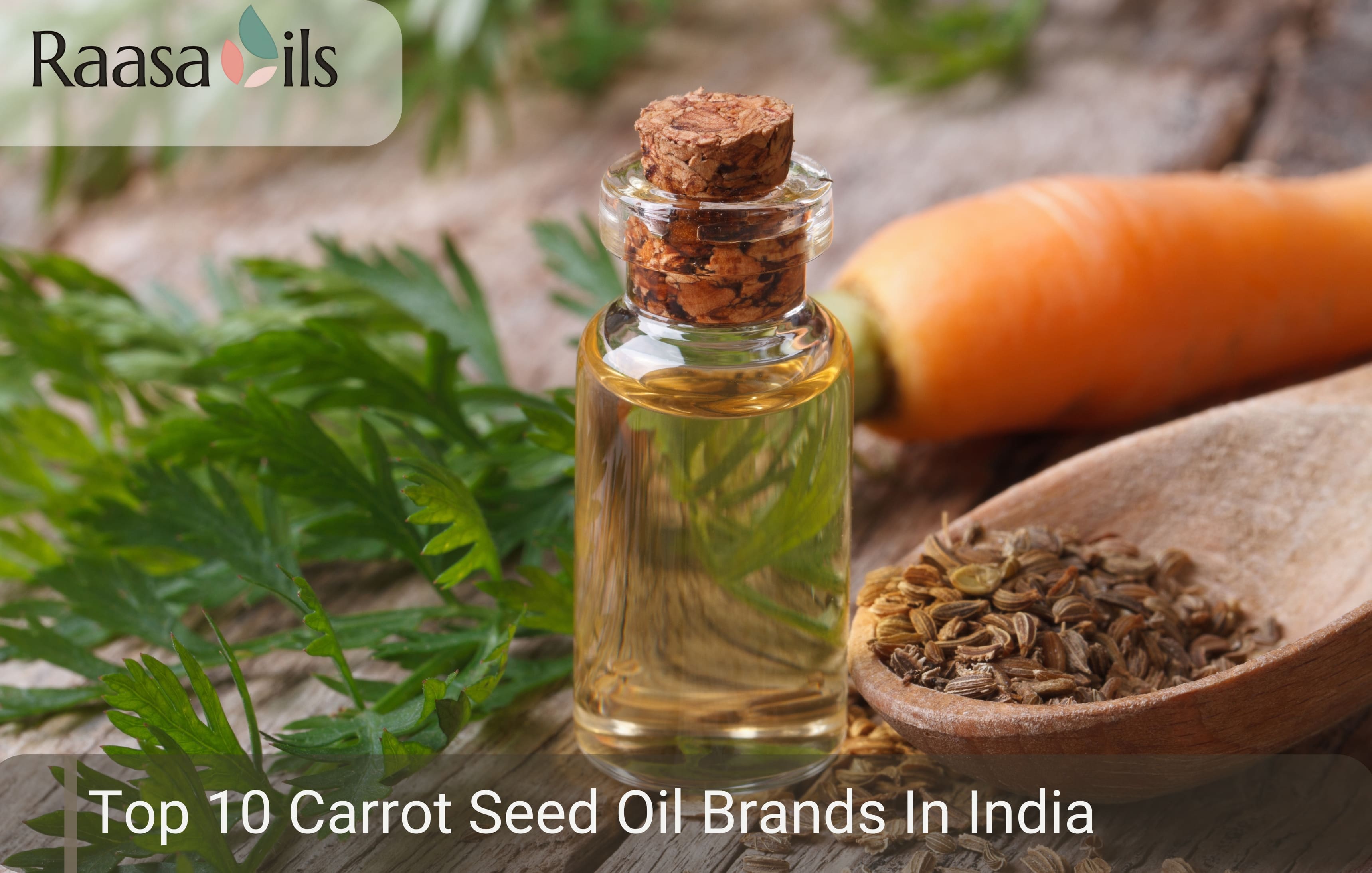 Top 10 Carrot Seed Oil Brands In India