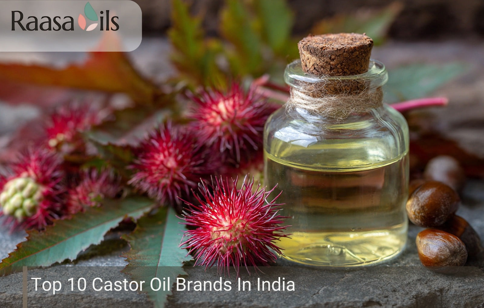 Top 10 Castor Oil Brands In India
