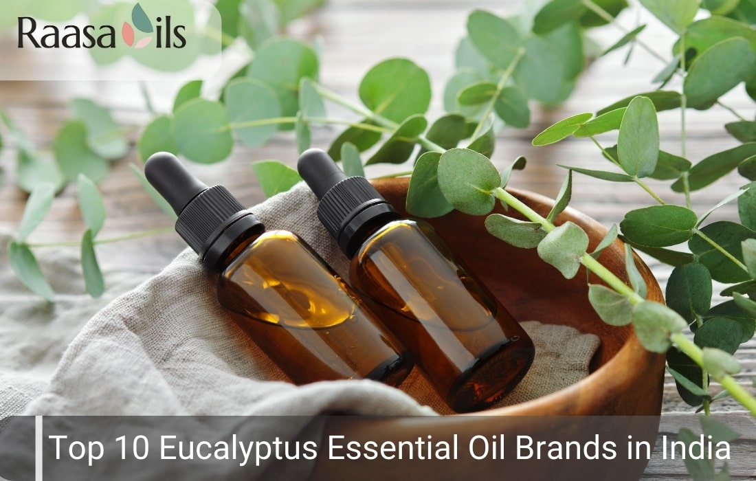 Top 10 Eucalyptus Essential Oil Brands In India