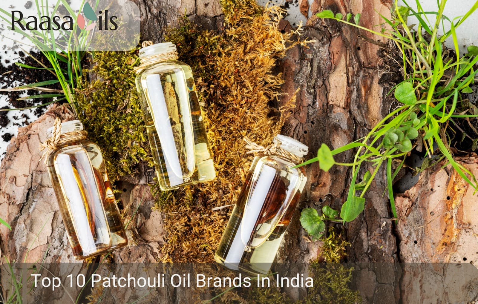 Top 10 Patchouli Oil Brands In India
