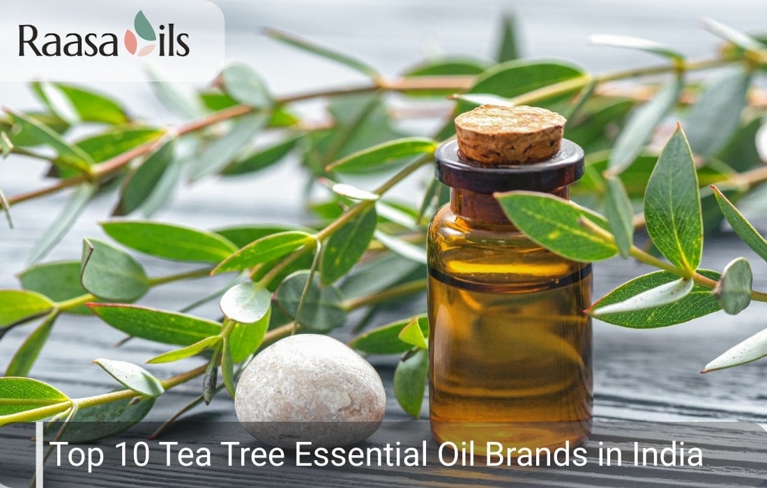 Top 10 Tea Tree Essential Oil Brands In India