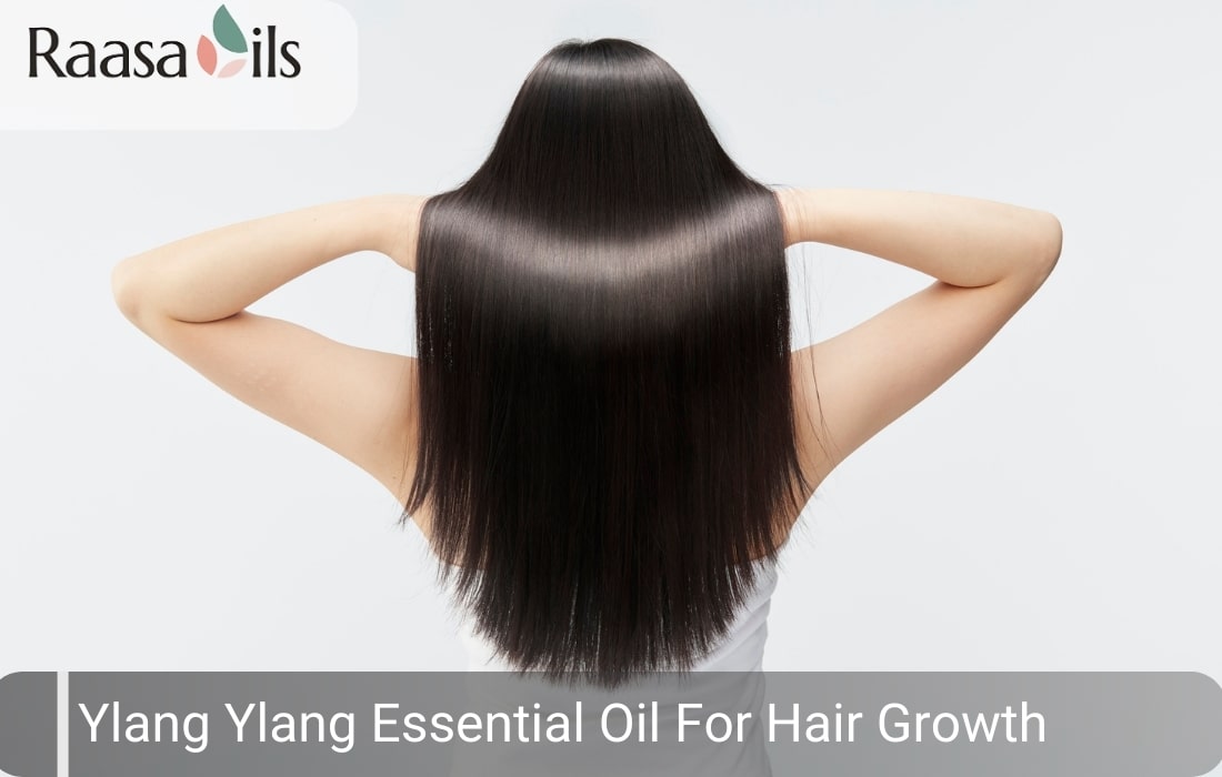 Ylang Ylang Oil for Hair: Healthy Growth & Nourishment