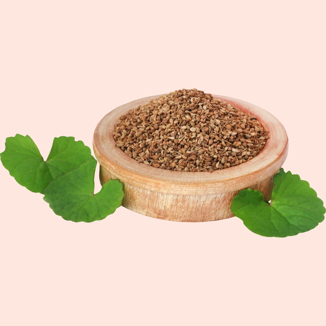 Ajwain Liquid Extract