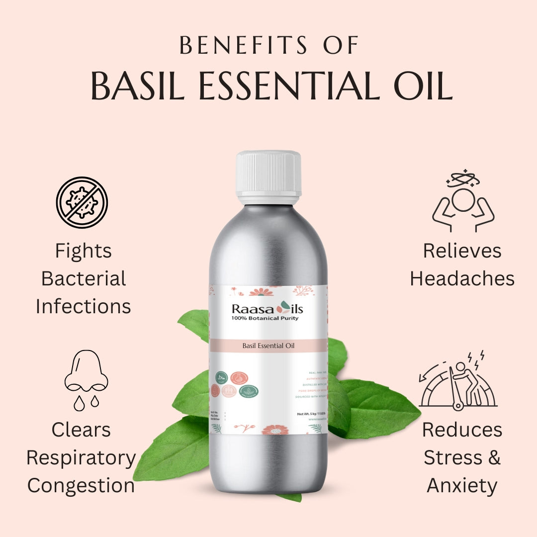Benefits of Basil Essential Oil