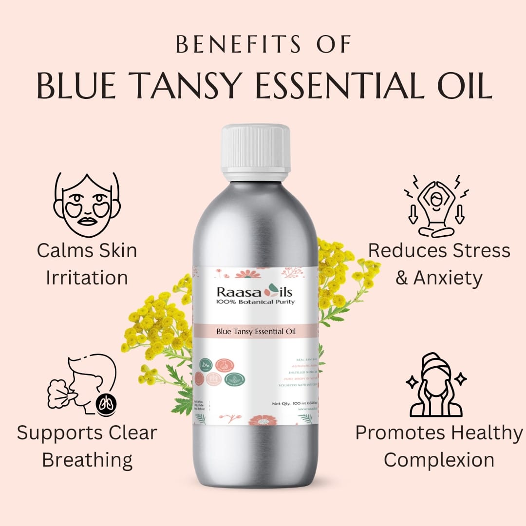 Blue Tansy Essential Oil bottle with benefits listed on a pink background