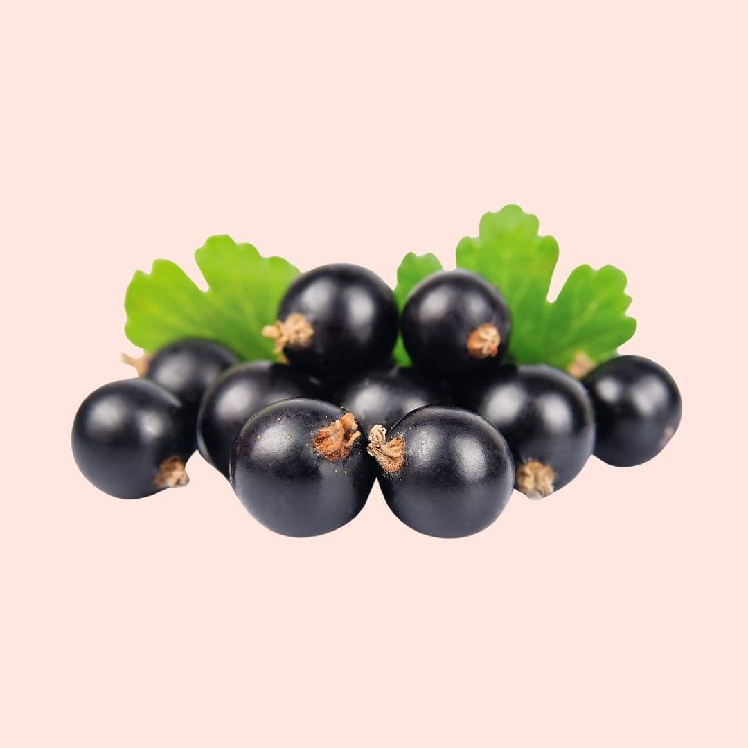 Cluster of black currants with green leaves on a beige background