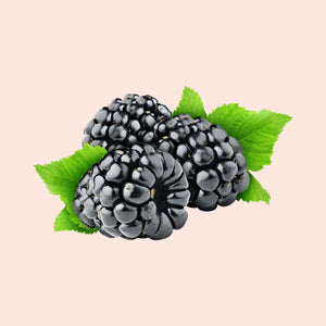 Blackberries with green leaves on a light pink background