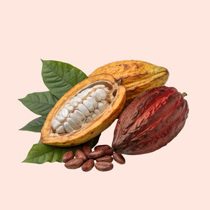 Cocoa beans, cocoa pod, and leaves on a light pink background