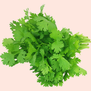 Bunch of fresh green cilantro leaves on a beige background